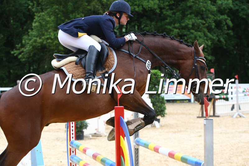 006M7850_Spring M.JPG